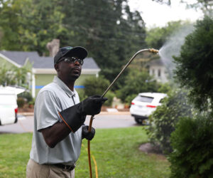 Mite Control & Prevention - Eastern NC To Tidewater VA